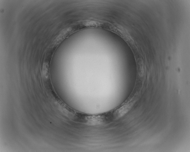 X0000080170273200612221258