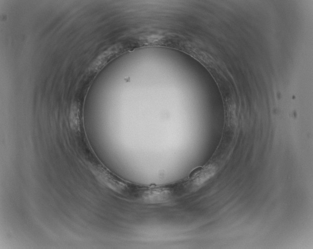 X0000080170274200612221258