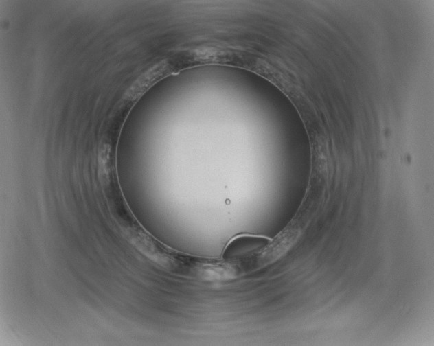 X0000080170275200612221258