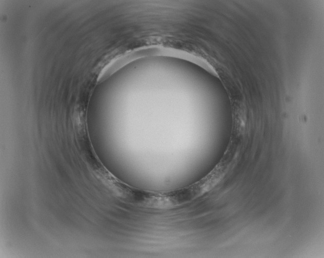 X0000080170276200612221258