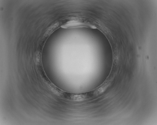 X0000080170277200612221258