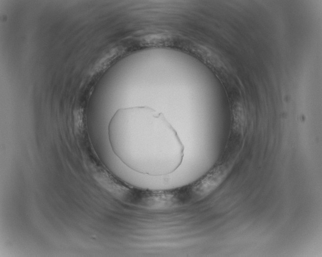 X0000080170278200612221258