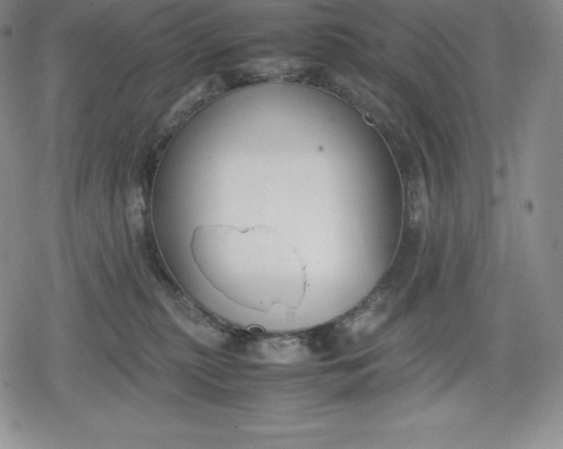 X0000080170279200612221258