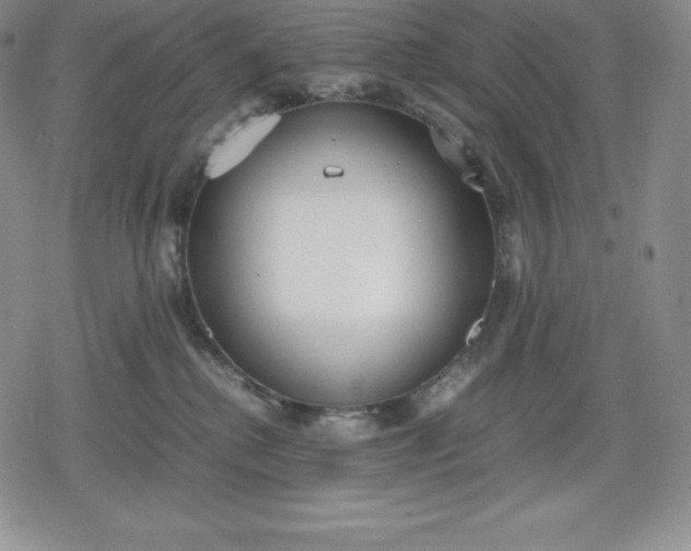 X0000080170280200612221258