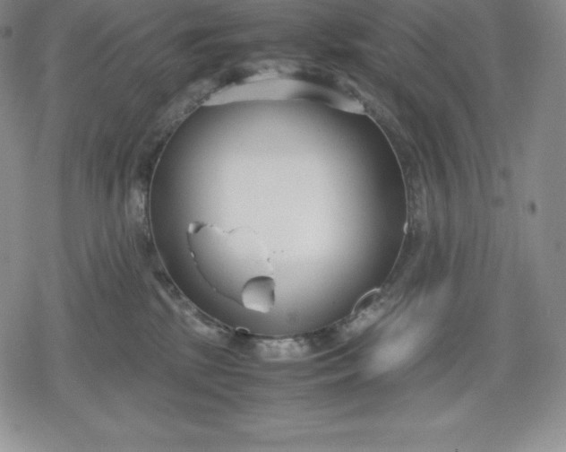 X0000080170281200612221258