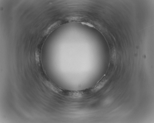 X0000080170282200612221258