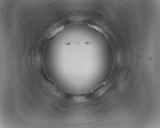 X0000080170283200612221258