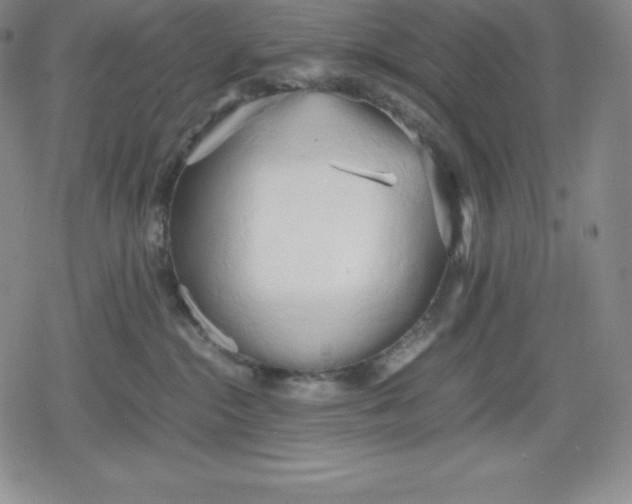 X0000080170284200612221258