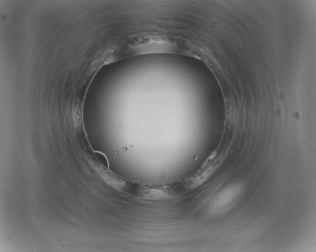 X0000080170285200612221258