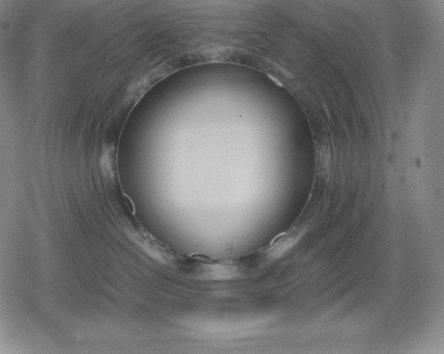 X0000080170286200612221258