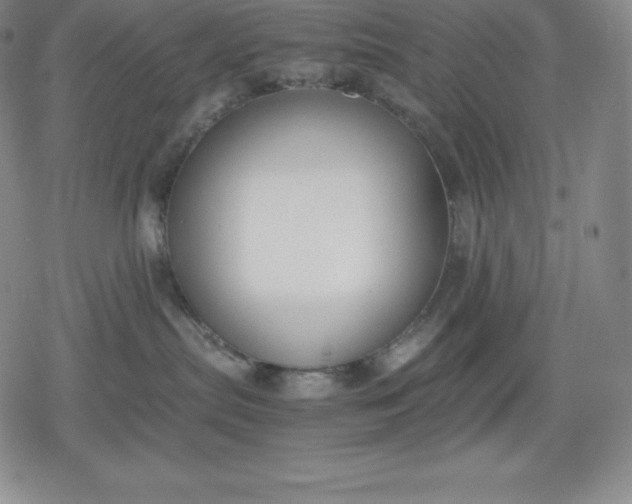 X0000080170287200612221258