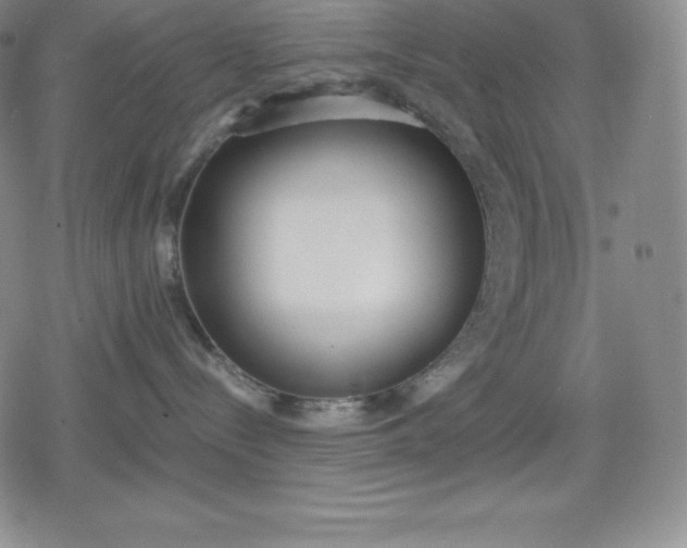 X0000080170288200612221258