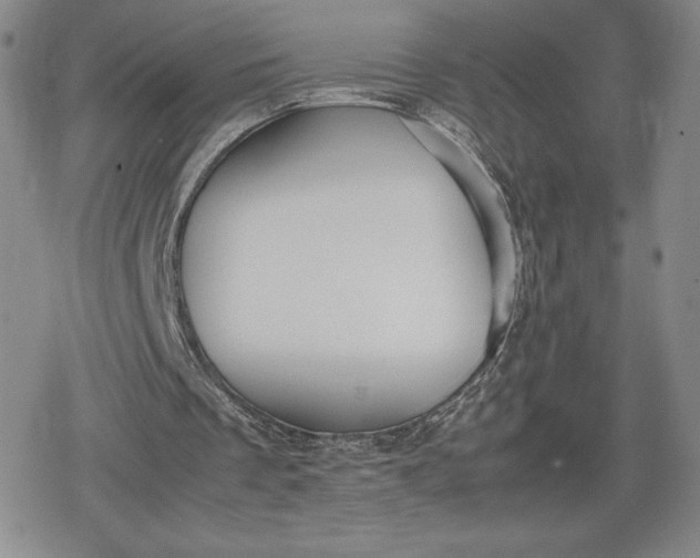 X0000080170289200612221258