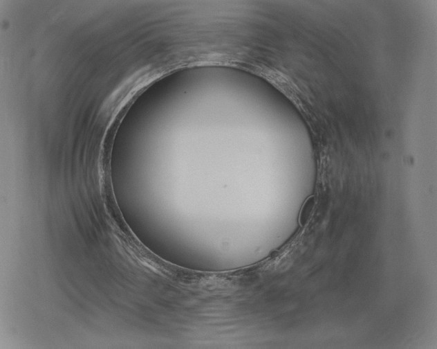 X0000080170290200612221258