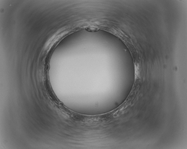 X0000080170291200612221258