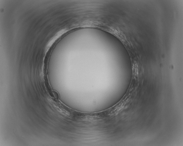 X0000080170292200612221258