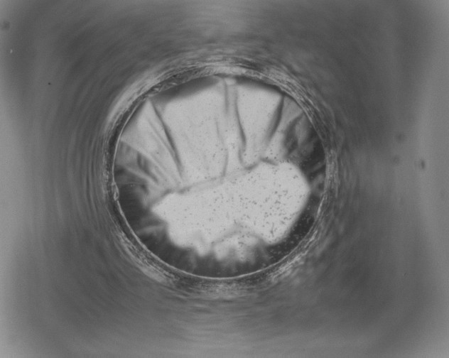 X0000080170293200612221258