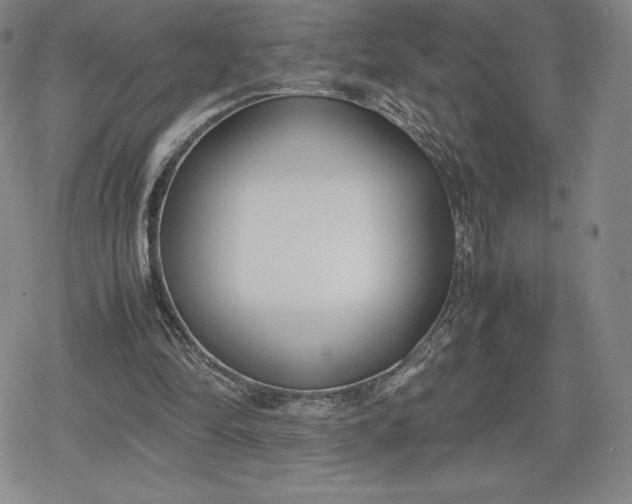 X0000080170294200612221257