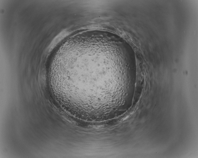 X0000080170295200612221257