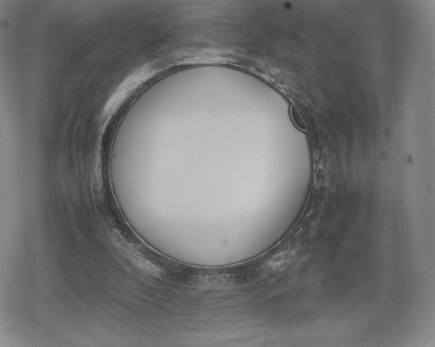 X0000080170296200612221257