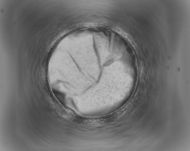 X0000080170297200612221257