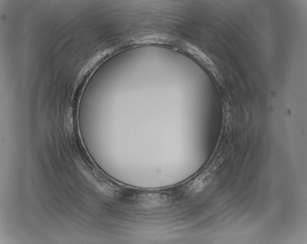 X0000080170298200612221257