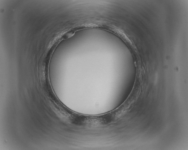 X0000080170299200612221257