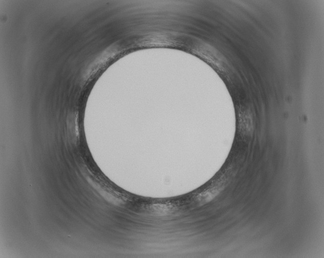 X0000080170302200612221257