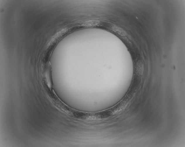 X0000080170303200612221257