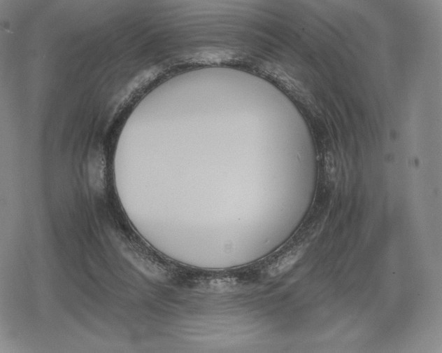 X0000080170304200612221257