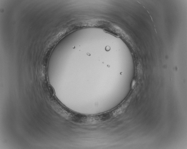 X0000080170305200612221257