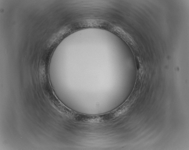 X0000080170306200612221257