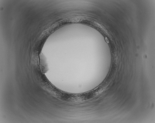 X0000080170307200612221257