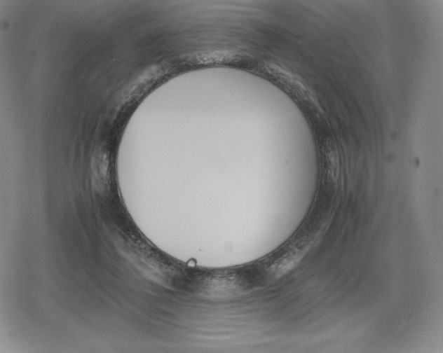 X0000080170308200612221257