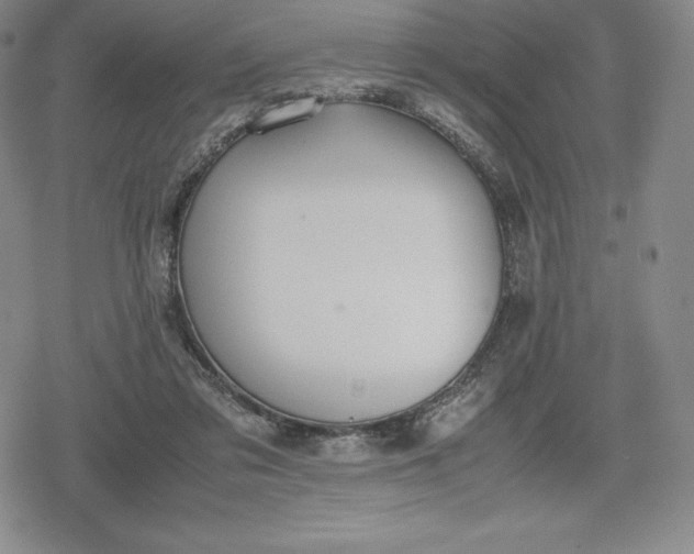 X0000080170309200612221257