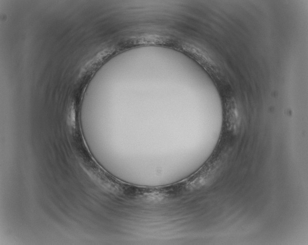 X0000080170310200612221257