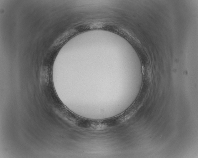 X0000080170311200612221257