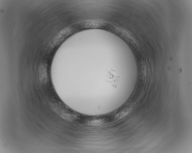 X0000080170312200612221257