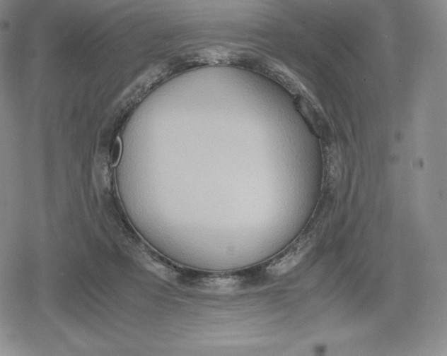 X0000080170313200612221257