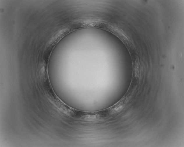 X0000080170314200612221257