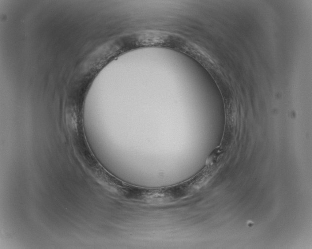 X0000080170315200612221257