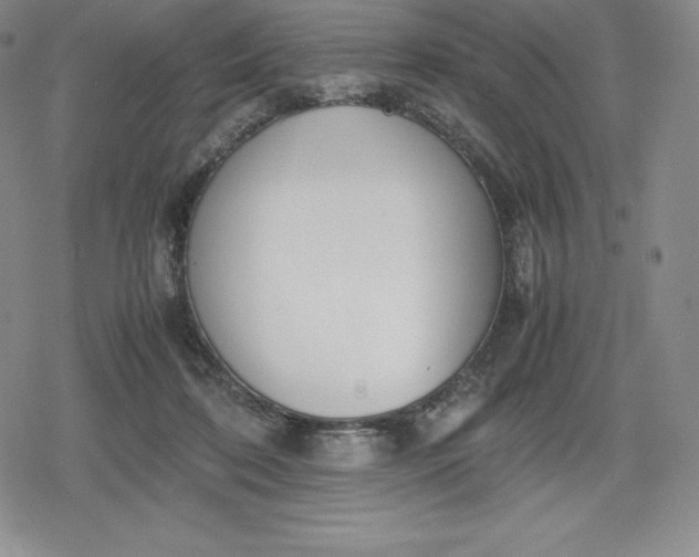 X0000080170316200612221257