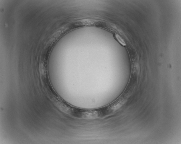 X0000080170317200612221257