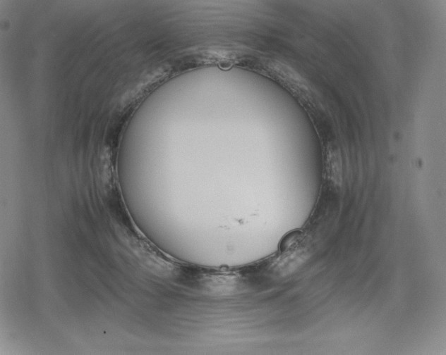 X0000080170318200612221257