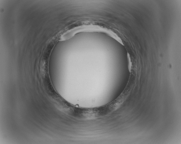 X0000080170319200612221257