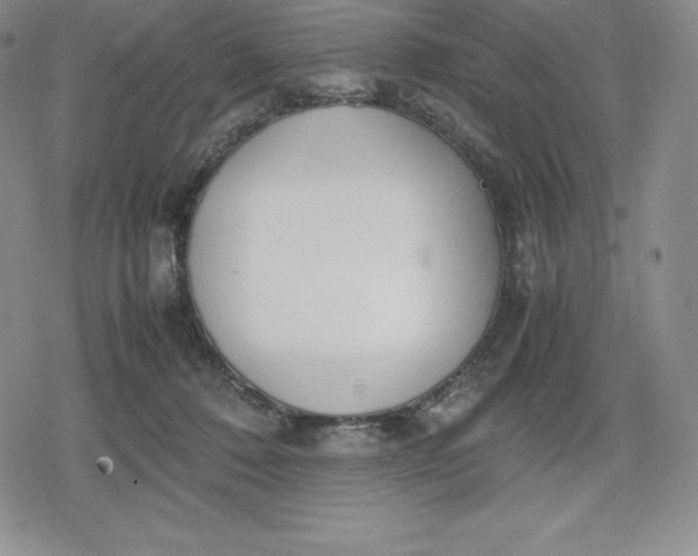 X0000080170320200612221257