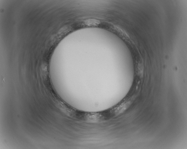 X0000080170321200612221257