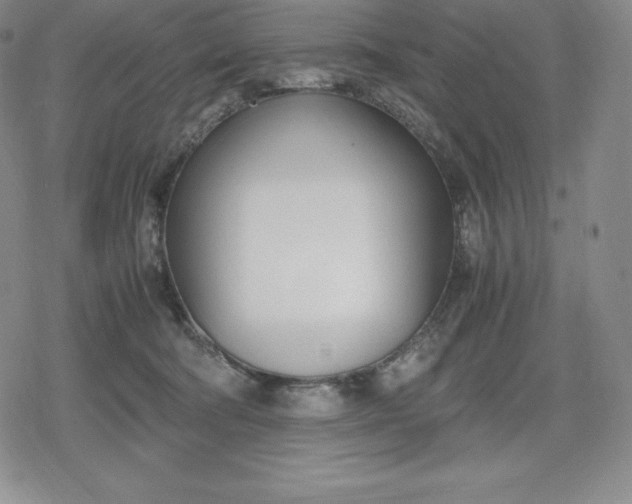 X0000080170322200612221257