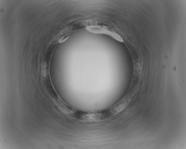 X0000080170323200612221257