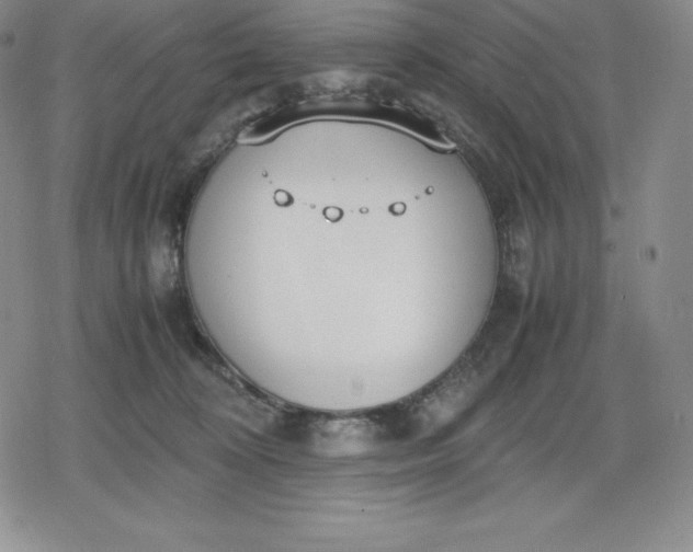 X0000080170324200612221257